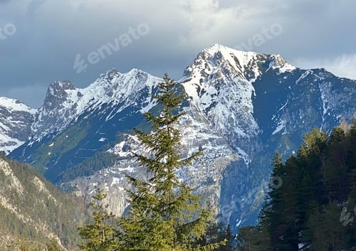 Preview: Alpine snow covered mountain with evergreen trees