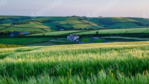 Preview: Rural landscape with view across fields of crops near Slapton, Devon at sunset.