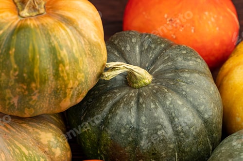 Preview: Background of a lot of colorful pumpkins