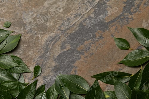 Preview: green wet foliage on stone background with copy space