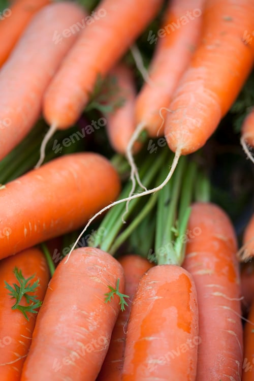 Preview: Carrots