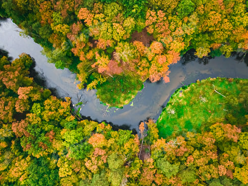 Preview: Top down view of river and forest in autumn.