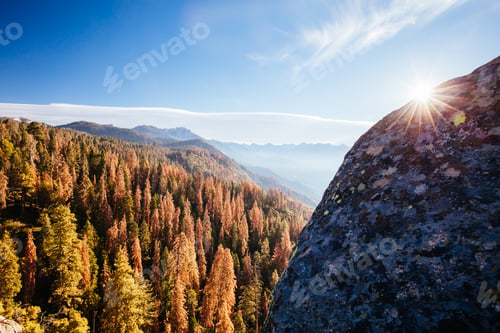 Preview: Sequoia National Park