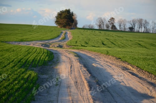 Preview: dirt road in a green field
