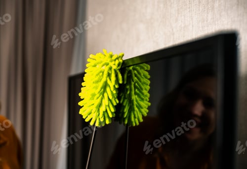 Preview: Green duster cleans black television screen in modern living room