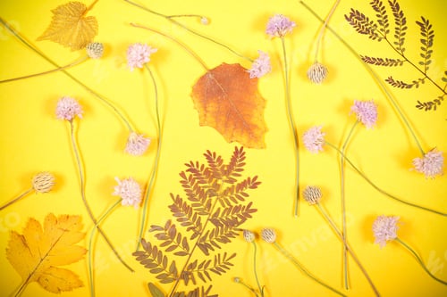 Preview: On A Bright Background Lie Autumn Leaves Background Image