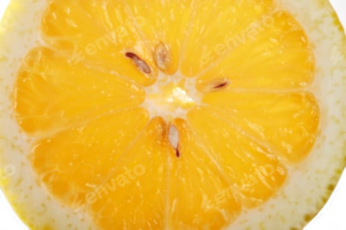 Preview: A round slice of lemon backlit on a gray-white background