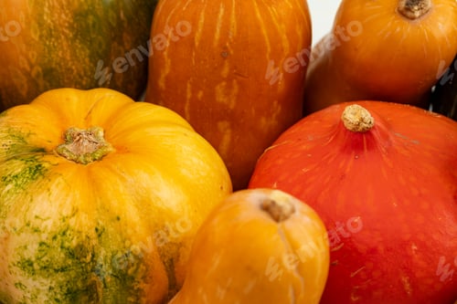 Preview: Background of a lot of colorful pumpkins