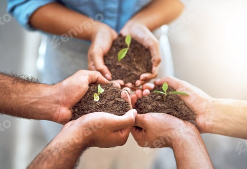 Preview: Nurture the talents of your team. Closeup shot of a group of people holding plants growing in soil.