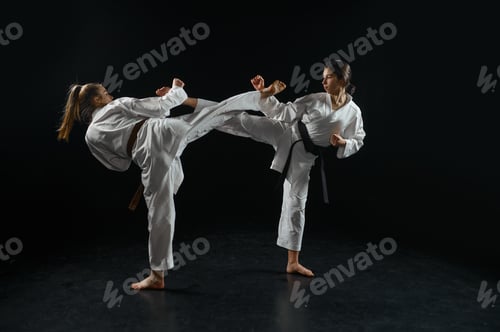 Preview: Female and male karate fighters, combat in action