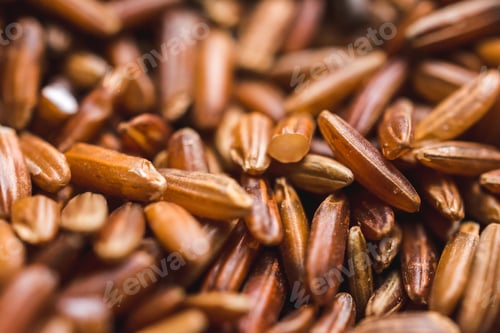 Preview: Close up shot of fresh whole freekeh