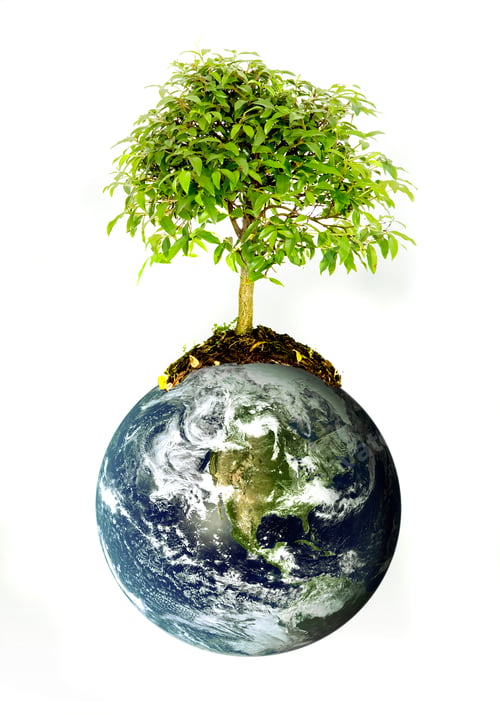 Preview: Protect The Environment Concept - Earth With A Tree Isolated Over A White Background