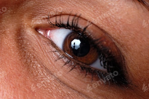 Preview: Close up of natural female eye