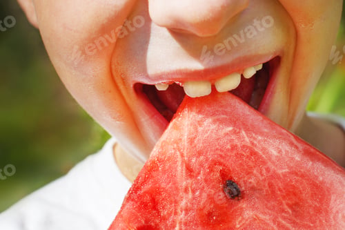 Preview: close-up child boy eating a slice of watermelon on a background of green grass