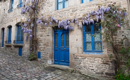 Preview: blue doors and old house with wisteria flowers in franch