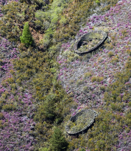 Vista previa: Ancient stone constructions to protect the hives