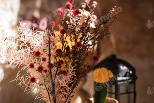 Preview: Dry flowers