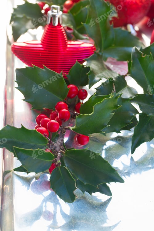 Preview: Holly green leaves and red berries