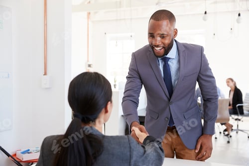 Preview: Black businessman and seated woman shaking hands in office