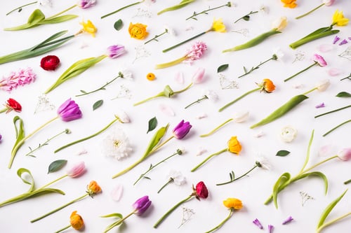 Preview: Easter and spring flat lay on a white background.