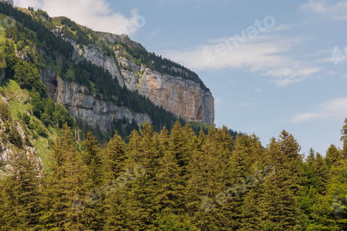 Preview: Aerial view of fall trees near rocky cliffs in Appenzell, Swtizerland