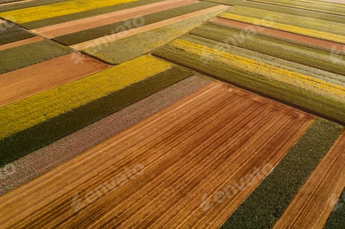 Preview: Aerial view of cultivated agricultural fields in countryside from drone pov