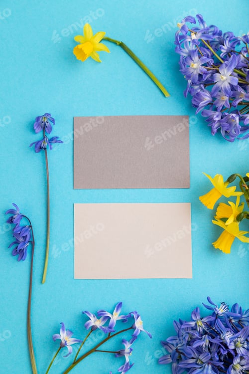 Preview: Gray paper business cards with spring snowdrop flowers bluebells, narcissus on blue pastel