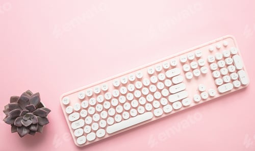 Preview: Computer keyboard and succulent plant against pink background