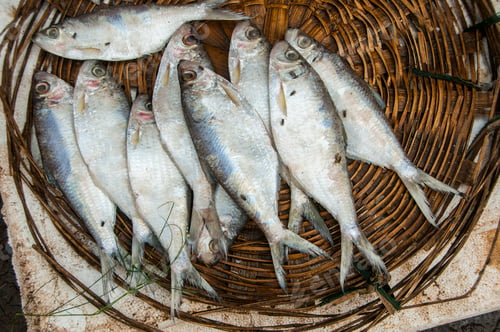 Preview: Fresh fish and seafood. Healthy eating.