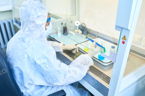 Preview: Biologist using leaves in chemical research