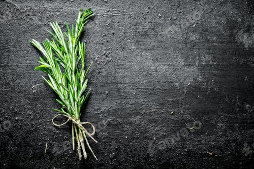 Preview: Bunch of fresh rosemary.