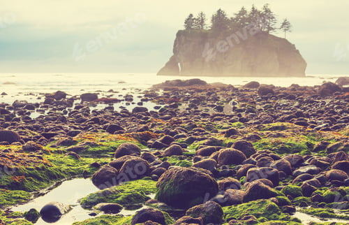 Preview: Olympic coast