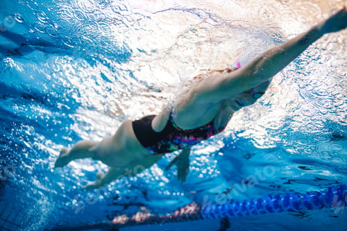 Preview: Professional female athlete swimming in pool