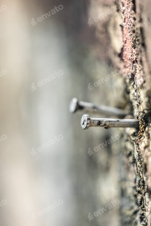 Preview: On the cement wall, there are a pair of rusty nails that appear to have been in place