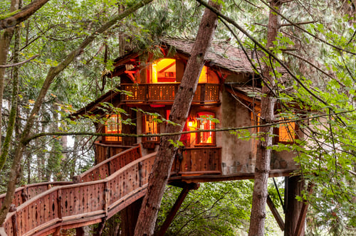 Preview: Wooden walkway to illuminated tree house
