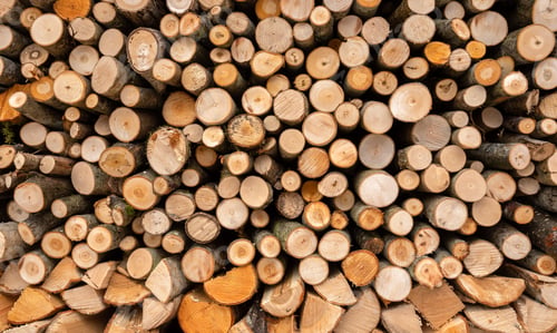 Preview: Pile of Cut Tree Logs in Sunlight