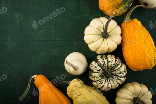 Preview: Decorative pumpkin on green background.