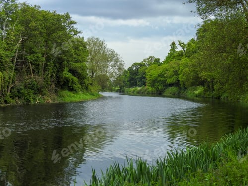 Preview: River surrounded by lush greenery on a summer day