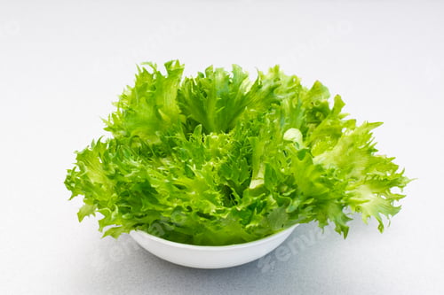 Preview: Fresh green lettuce leaves in a bowl on the table. Healthy eating
