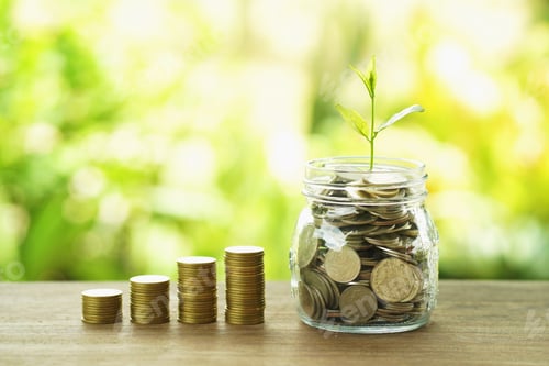 Preview: finance and accounting concept money stack with plant grow on jug glass and coins