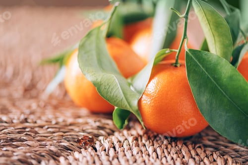 Preview: Tangerine or clementine with green palm leaves on rattan background. Copy space. Christmas or New