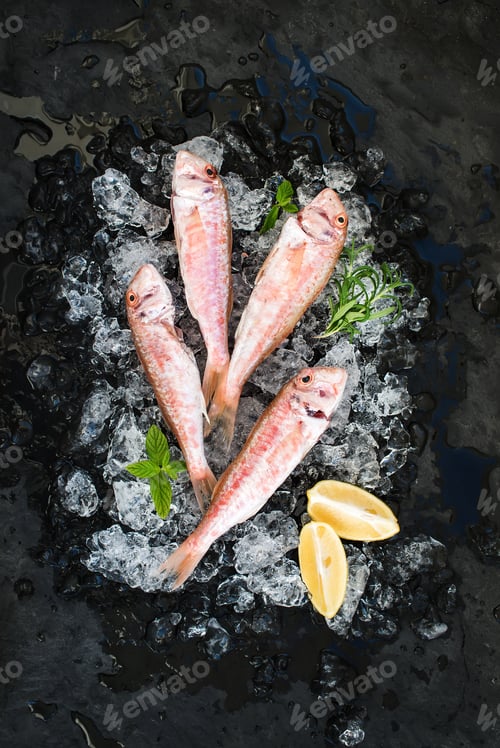 Preview: Raw Red Mullet fish with lemon, mint and rosemary on chipped ice over dark stone backdrop