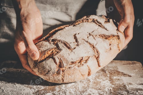 Preview: Baker or chef holding fresh made bread