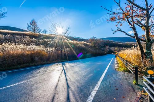 Preview: Beautiful landscape of road side around mountain fuji in yamanak