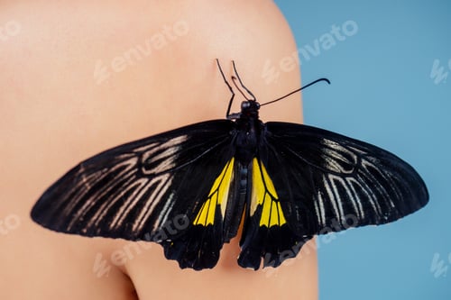 Preview: beautiful nude woman on blue background.