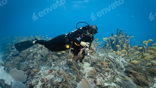 Preview: female diver posing among the corals