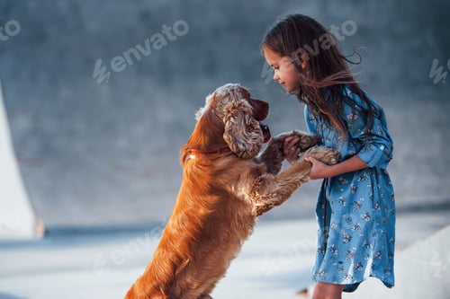 Preview: Pet stands on on the hind legs. Cute little girl have a walk with her dog outdoors at sunny day