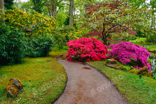 Preview: Japanese garden, Park Clingendael, The Hague, Netherlands
