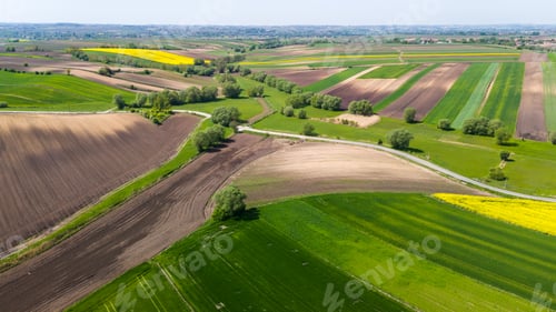 Preview: Beautiful farmland and coutryside in Ponidzie, Poland. Aerial drone view