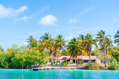 Preview: Idyllic tropical beach with white sand, turquoise ocean water and big palm trees